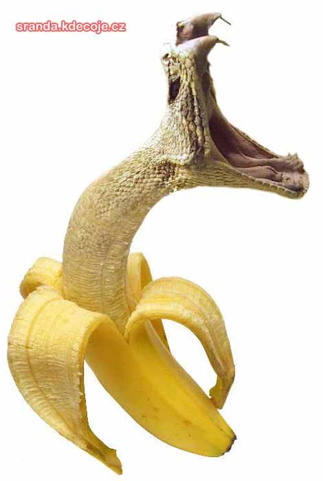 had-banan